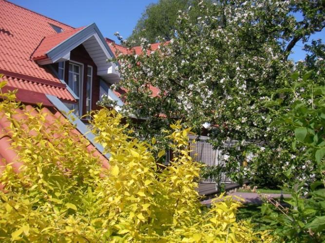 Apartamentai Obelyne Palanga Esterno foto
