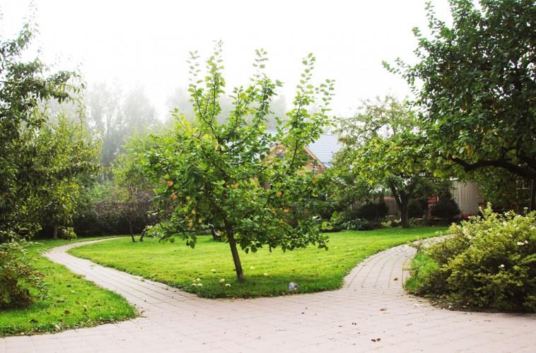 Apartamentai Obelyne Palanga Esterno foto
