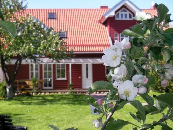 Apartamentai Obelyne Palanga Esterno foto